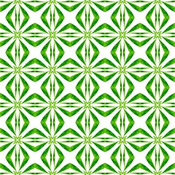 Medallion seamless pattern. Green rare boho chic Illustrazione stock