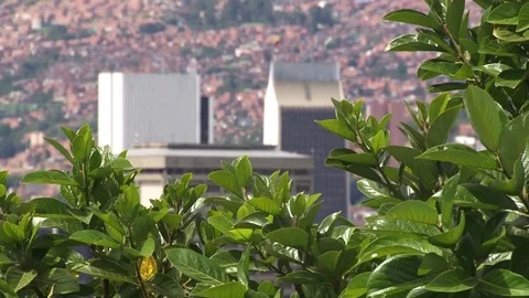 Medellin Colombia Edificio Coltejer Primer Plano con enfoque selectivo Stock Footage 78620524