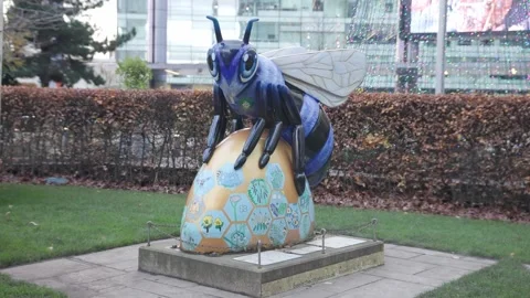 MediaCity UK Bee Stock Footage 256161601