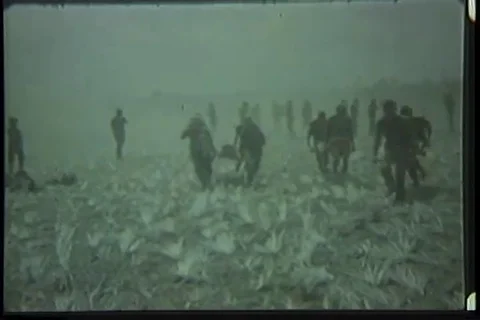 Medic load wounded and dead Vietnamese soldier in UH-1D helicopter - 1969 Video stock 99054358