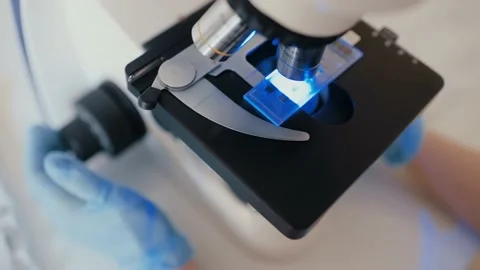 A medic or scientist examines bacteria in a microscope 库存影片 178007250