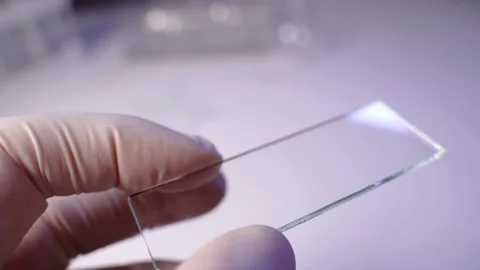 Medic or scientist studies examining of test sample under microscope in Stock Footage 132369174