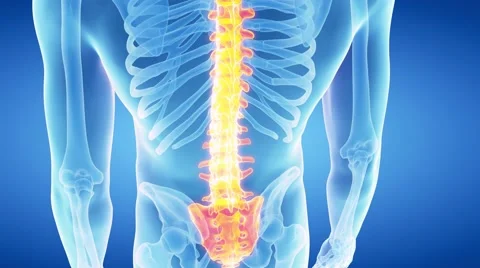medical 3d animation of the human blue b... | Stock Video | Pond5 medical 3d animation of the human blue b... | Stock Video | Pond5