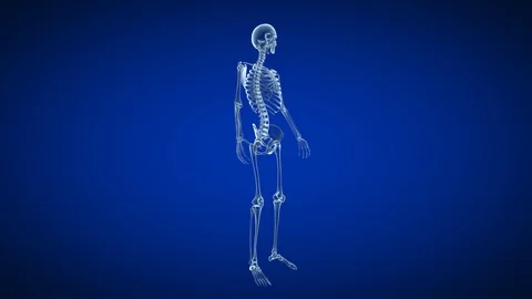 Medical 3d loopable animation of the human skeleton Stock Footage 119209278