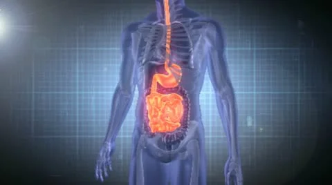 Medical Analysis: Stomach Stock After Effects