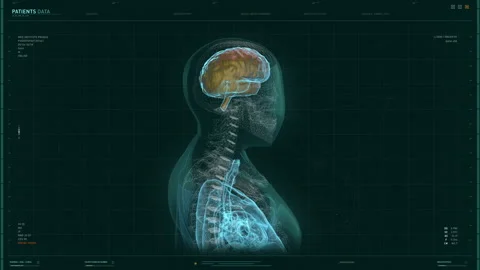 Medical Anatomy Interface Projects Human Brain Health Scan At Hospital Stock Footage 160897030