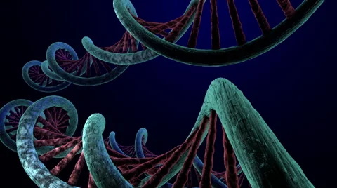 Medical Animation, DNA Video stock 57501565