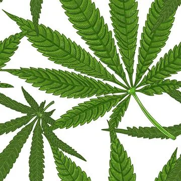Medical Cannabis Leaf pattern Stock Illustration