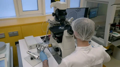 Medical Clinic Doctor Adjust Knobs On Microscope To Examine Patient's Sample 스톡 동영상 233165057