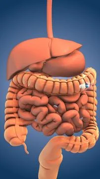 Medical concept of capsule endoscopy technique イラスト素材