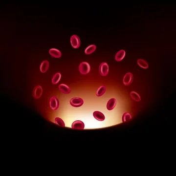 Medical concept design, vector drawn blood vessels and red blood cells. 스톡 일러스트