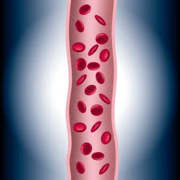 Medical concept design, vector drawn blood vessels and red blood cells. Stock Illustration