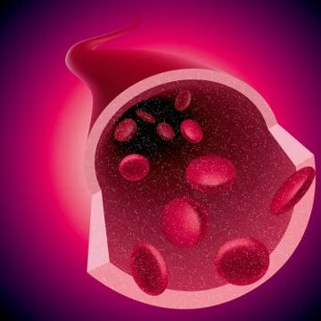 Medical concept design, vector drawn blood vessels and red blood cells. Stock Illustration