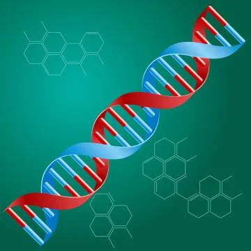 Medical concept design, Vector drawn DNA Strand, isolated on green background. Stockillustratie