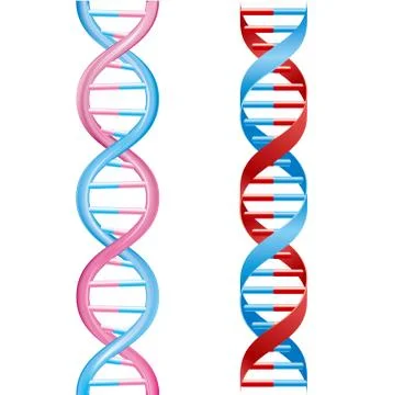 Medical concept design, Vector drawn DNA Strand, isolated on white background. Stock Illustration