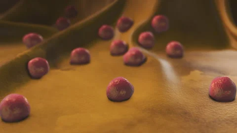 Medical Concept of Staphylococcus Aureus Bacteria Stock-Footage 316663454