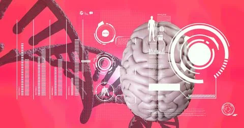 Medical data processing over dna structure and human brain against red gradient Stock Illustration