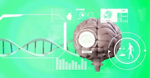 Medical data processing over dna structure and human brain against green Stock Illustration