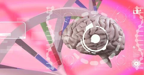 Medical data processing over dna structure and human brain against pink gradient Illustrazione stock