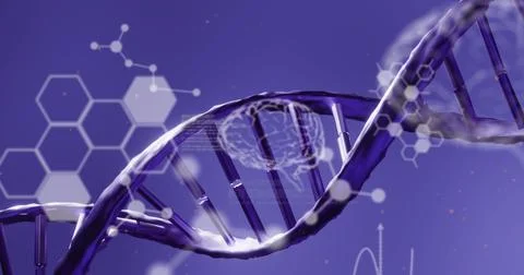 Medical data processing over dna structure spinning against blue background Stock Photos