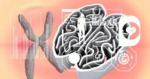 Medical data processing over human lungs against orange gradient background Stock Illustration