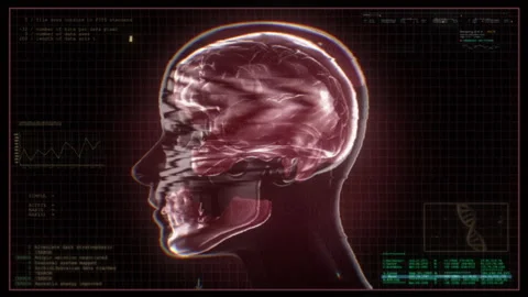 Medical Data Screen 03 Stock Footage 241042511