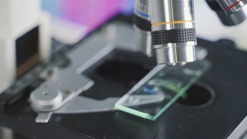 Medical Development Laboratory: Looking Under Microscope, Analyzes Sample Stock Footage 171855581