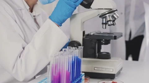 Medical Development Laboratory: Looking Under Microscope, Analyzes Sample Stock Footage 171855640