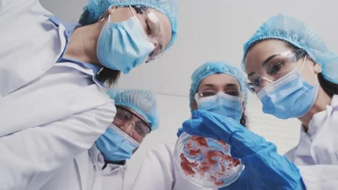 Medical Development Laboratory: Looking Under Microscope, Analyzes Sample Stock Footage 171860948