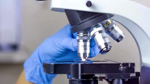 A medical examines the tissue sample under a microscope to identify the virus. Stock Footage 336582573
