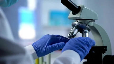 A medical examines the tissue sample under a microscope to identify the virus. Stock Footage 336582592
