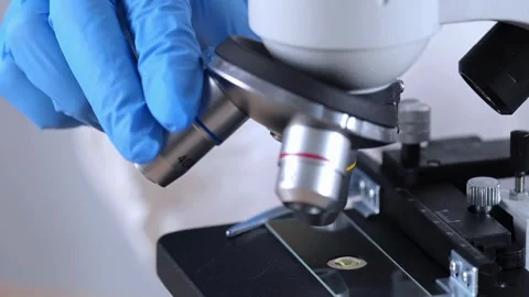 A medical examines the tissue sample under a microscope to identify the virus. Stock Footage 336582598