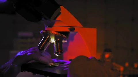 A medical examines the tissue sample under a microscope to identify the virus. Stock Footage 336582615