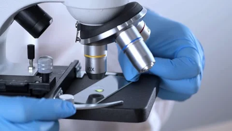 A medical examines the tissue sample under a microscope to identify the virus. Stock Footage 336582618
