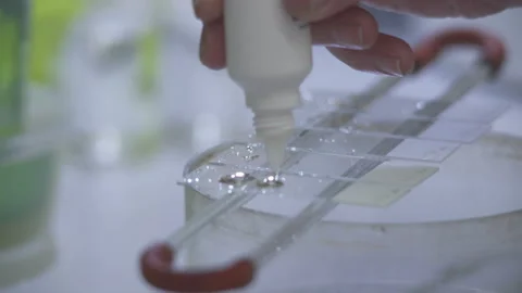 A medical fluid is applied to microscope slides Vidéo 91785666