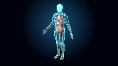 Medical Human - 360 loop 스톡 동영상 21954480