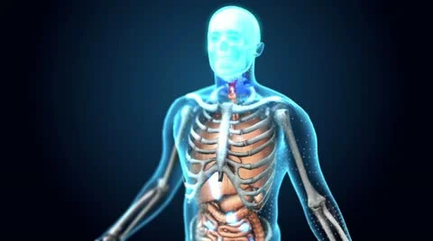 Medical Human - 360 Loop - Upper Body 스톡 동영상 22009025