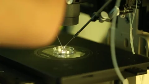 Medical important progress 4 Stock Footage 317081396