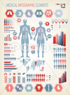 Medical infographics elements. human body with internal organs. vector. Stock Illustration