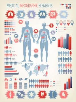 Medical infographics elements. human body with internal organs. vector. Stock Illustration