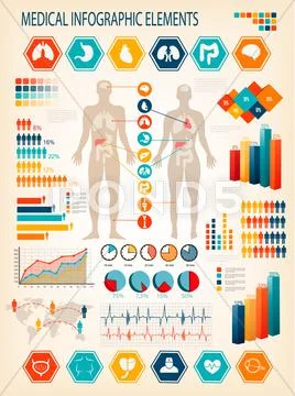 Medical infographics elements. human body with internal organs. vector ...