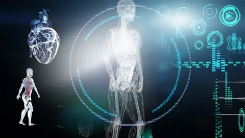 Medical Interface, analysis of Human Male Anatomy Scan on Futuristic  Screen Stock Footage 133121990