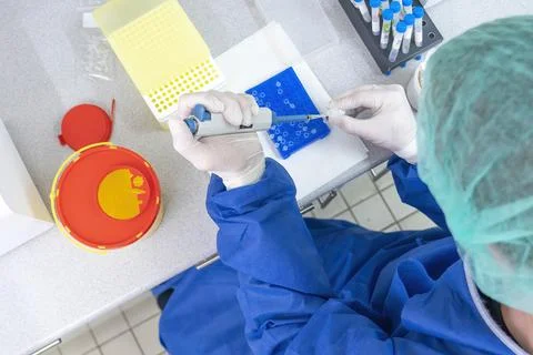 Medical lab scientists in laboratory using Air displacement micro pipettes fi Stock Photos