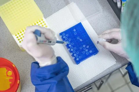 Medical lab scientists in laboratory using Air displacement micro pipettes fi Stock Photos
