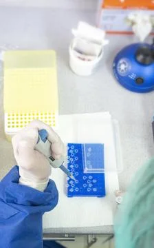 Medical lab scientists in laboratory using Air displacement micro pipettes fi Stock Photos