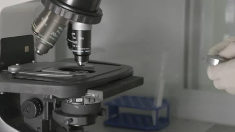 Medical Lab Technician Preparing Test Samples for Analysis Lab02 04 Stock Footage 143160551