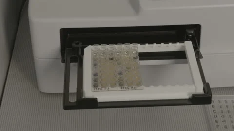 Medical Lab Technician Preparing Test Samples for Analysis Lab03 33 Stock Footage 143161435