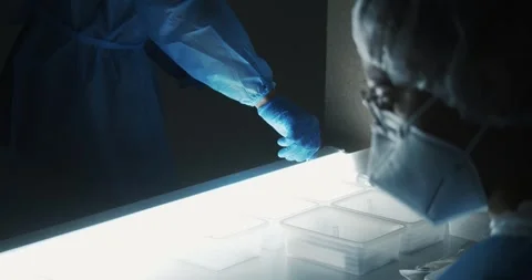 Medical lab worker performing COVID 19 tests in Berlin Oct 25 2020 Stock Footage 331541324