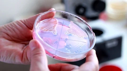 Medical Laboratory Stock Footage 76472212