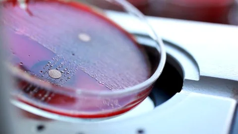 Medical Laboratory Stock Footage 76474259
